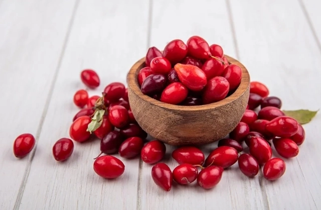 Kızılcık Marmelatı 750 gr
