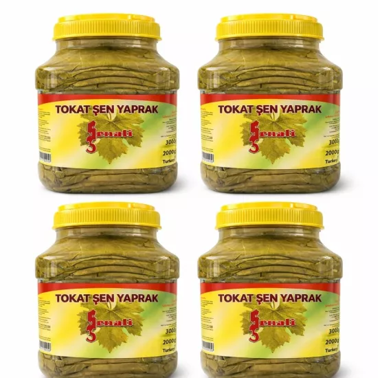 Tokat Salamura Asma Yaprak 3kg Pet Bidon