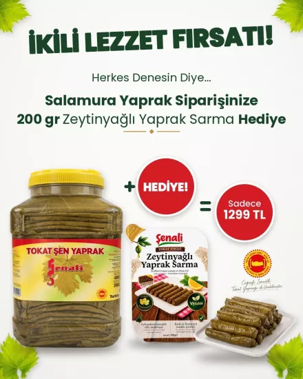 Brüt 4800 gr Salamura Yaprak ve Hazır Yaprak Sarma