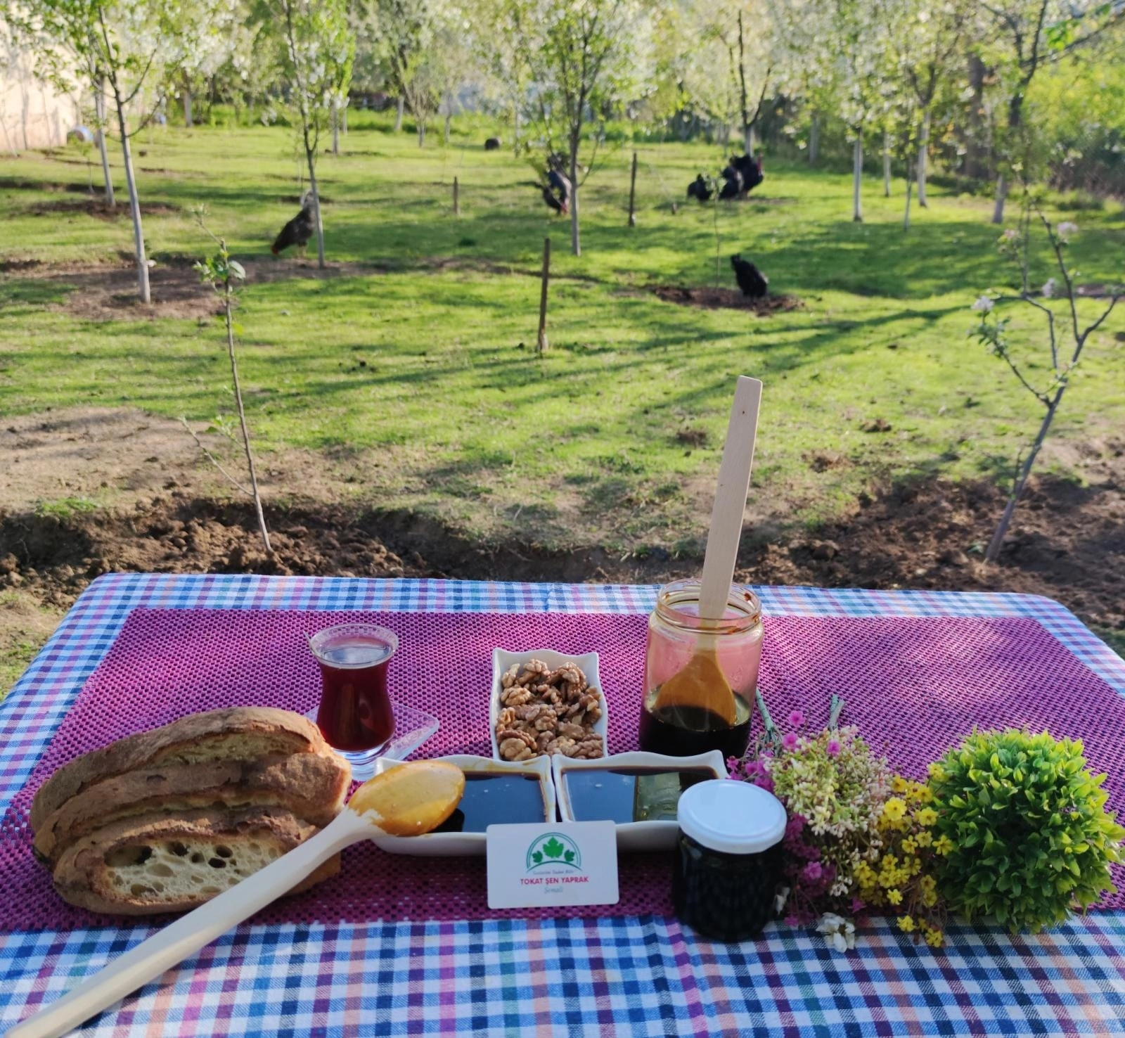 Tokat Sıvı Üzüm Pekmezi