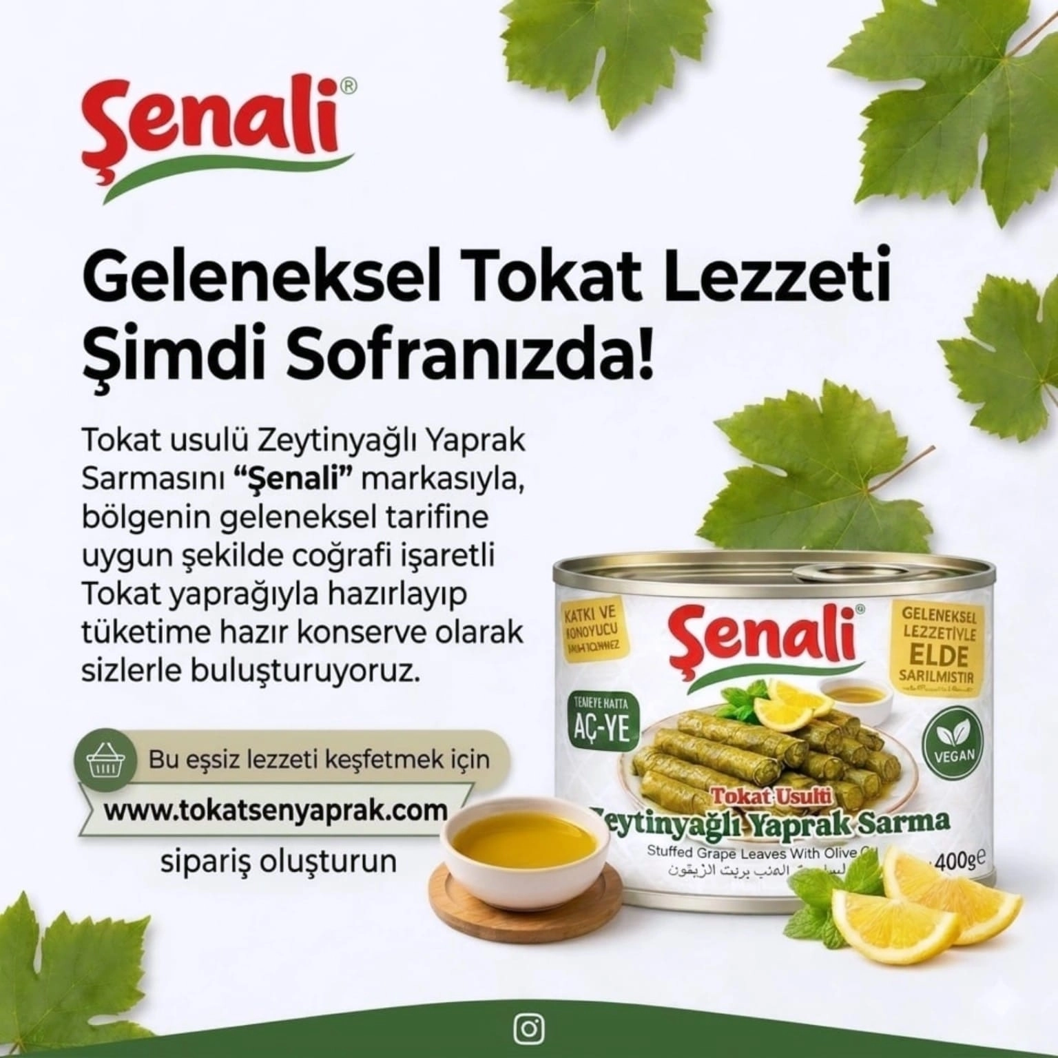 1 koli 18 adet Zeytinyağlı Yaprak Sarma Konservesi 400 gr Tokat Usulü