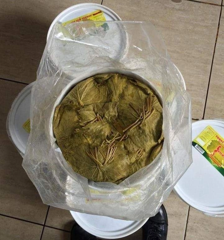 Tokat Salamura Yaprak 15 kg kova brüt